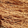 وتیور