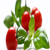 برگ گوجه فرنگی