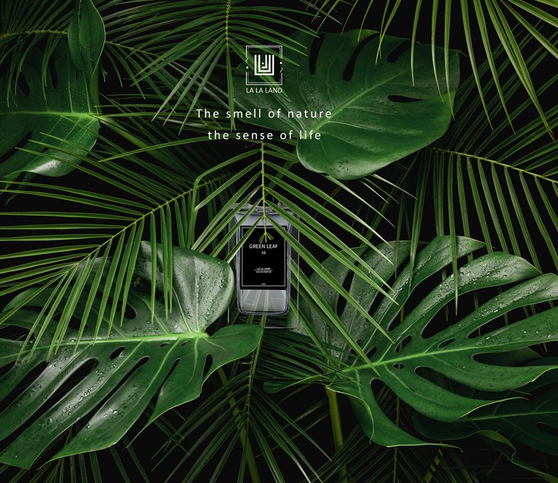 Grereen-leaf-3